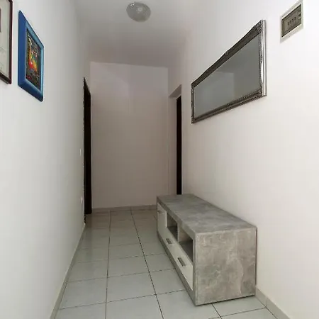 Apartment Branka *