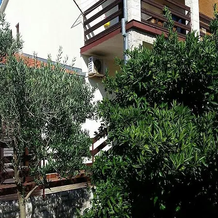 Apartment Branka