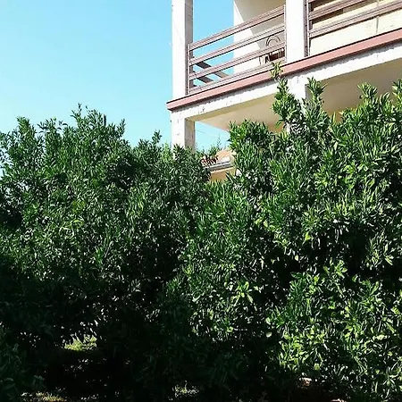 Apartment Branka